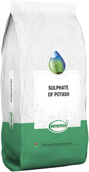 Soil Application NPK Fertilizer