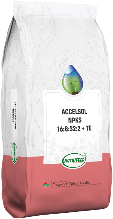 accelsol-npks-16-8-32-2-te